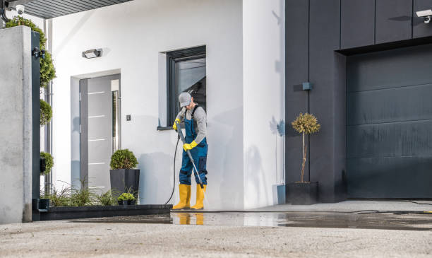 Best Soft Washing  in Mazon, IL